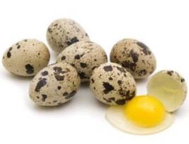 ovos de codorniz